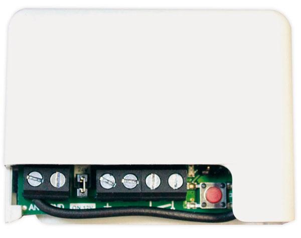 RF BASIC-MINI RECEIVER 12-24V